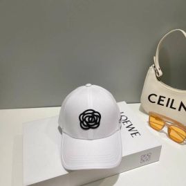 Picture of Chanel Cap _SKUChanelCapdxn271827